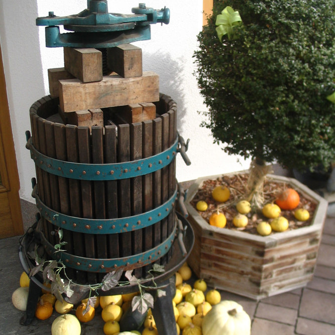 Hofladen K³rbise0025